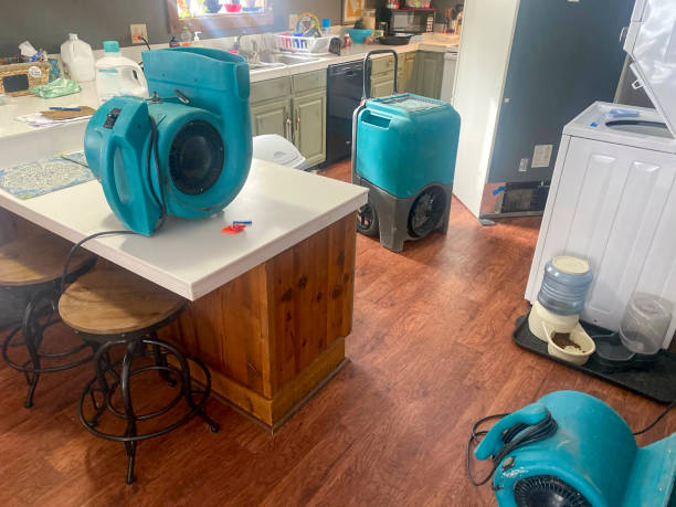 Best Water damage contractors near me  in Citronelle, AL